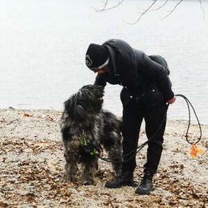 Immagine WhatsApp 2024-11-27 ore 22.28.36_5287757a