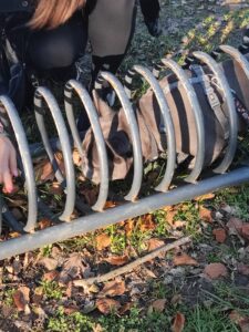 Immagine WhatsApp 2024-12-04 ore 23.40.55_839c33c8