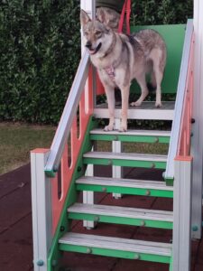 Immagine WhatsApp 2024-12-04 ore 23.40.56_5dbc96a4