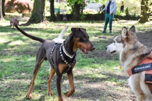 Immagine WhatsApp 2024-12-04 ore 23.40.58_703b25d9