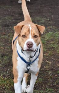 Immagine WhatsApp 2024-12-04 ore 23.41.00_225ed7cd