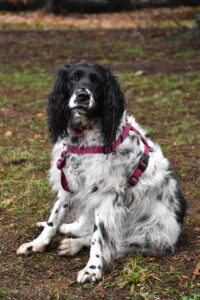 Immagine WhatsApp 2024-12-04 ore 23.41.01_462f16ca