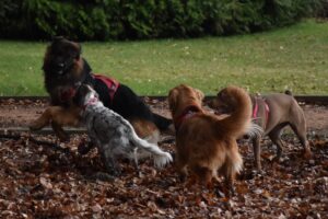 Immagine WhatsApp 2024-12-04 ore 23.41.04_843e13c8