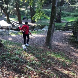 Immagine WhatsApp 2024-12-04 ore 23.41.06_b0330320